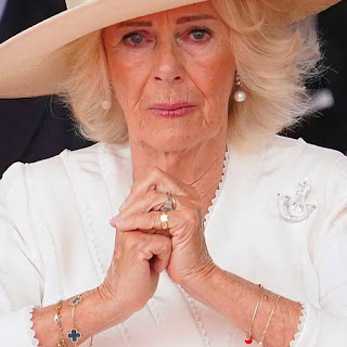 Buckingham Palace Confirms the Rumor – Camilla Parker Bowles Is… See More