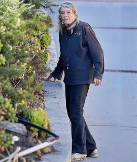 An Unexpected Appearance by a 1970s Icon: Can You Recognize Her in This Surprising Photo?