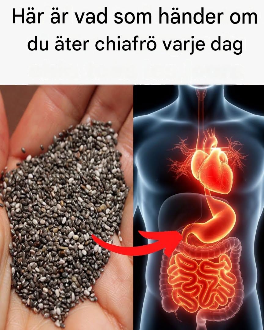 What Happens When You Start Eating Chia Seeds Every Day