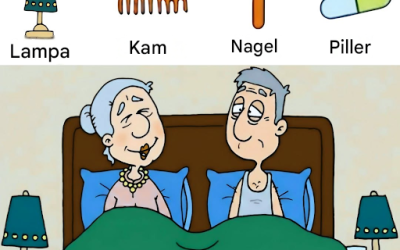Can You Find the 4 Hidden Objects?