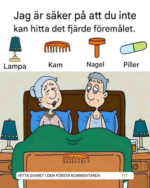 Can You Find the 4 Hidden Objects?