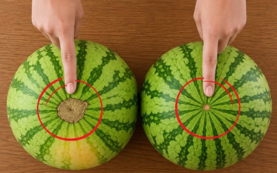 CHECK THIS OUT: How to Always Pick a Sweet, Juicy, and Perfectly Ripe Watermelon!